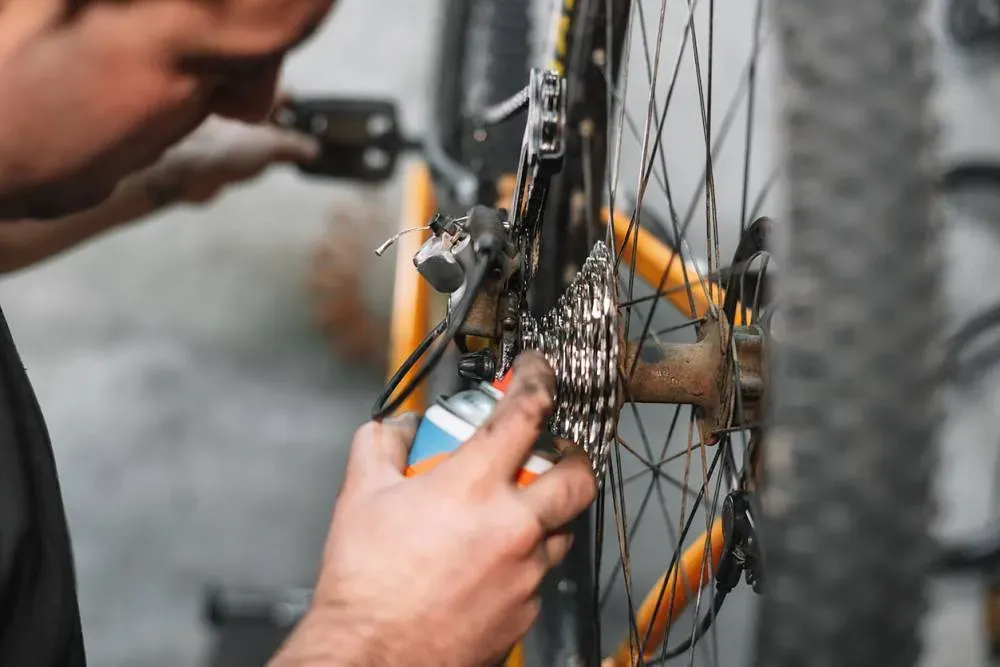 Réparation vélo près de Vallet