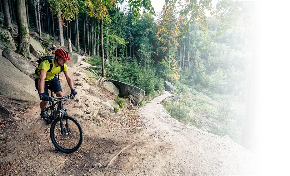 vtt