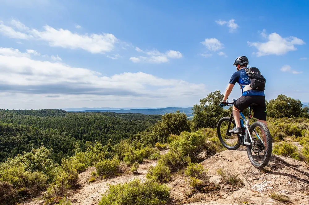 VTT près de Vallet