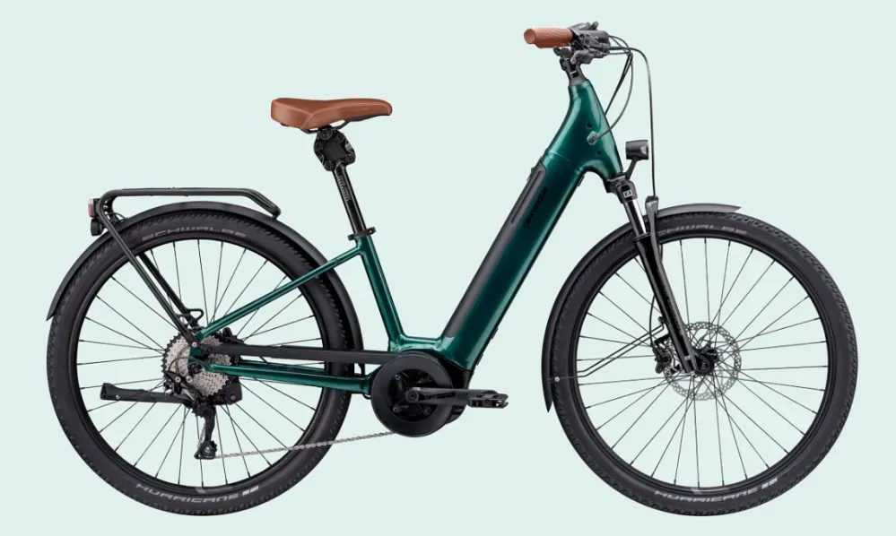 Cannondale Adventure Neo 1