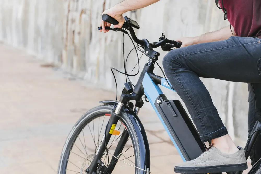 Vélo électrique près de Vallet
